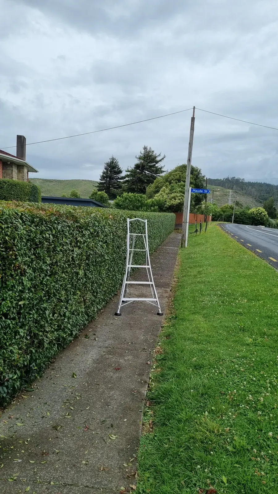 Freshly trimmed roadside hedge beside a footpath in Auckland