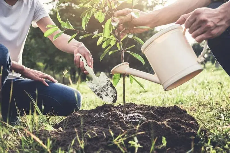 Sustainability