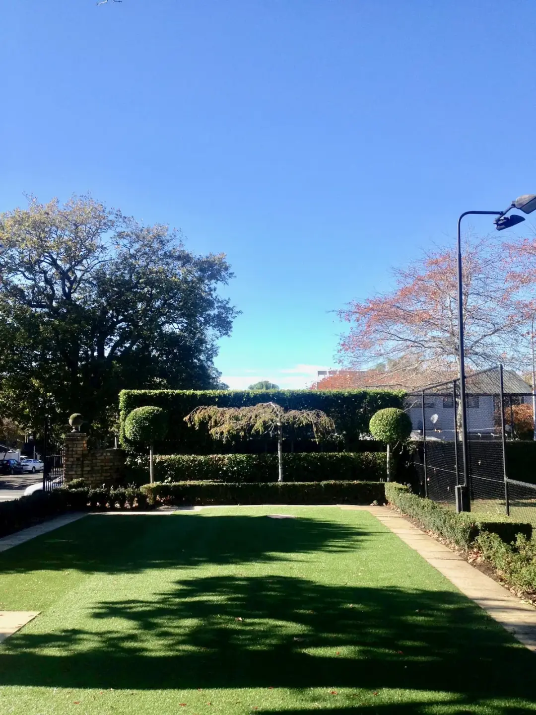 The same Auckland garden after tree removal and clean-up