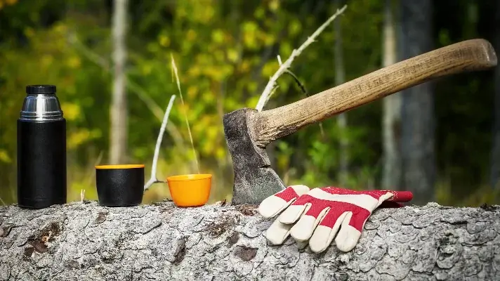 Ax with other arborists things that sit on top of a fallen tree – tree removal cost