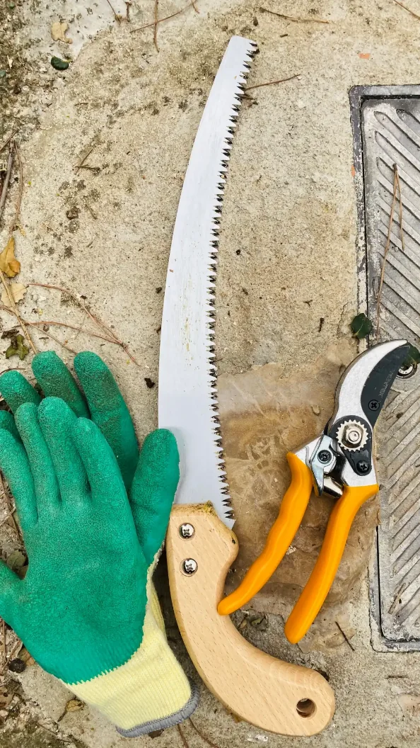 Pruning saw, secateurs and gardening gloves